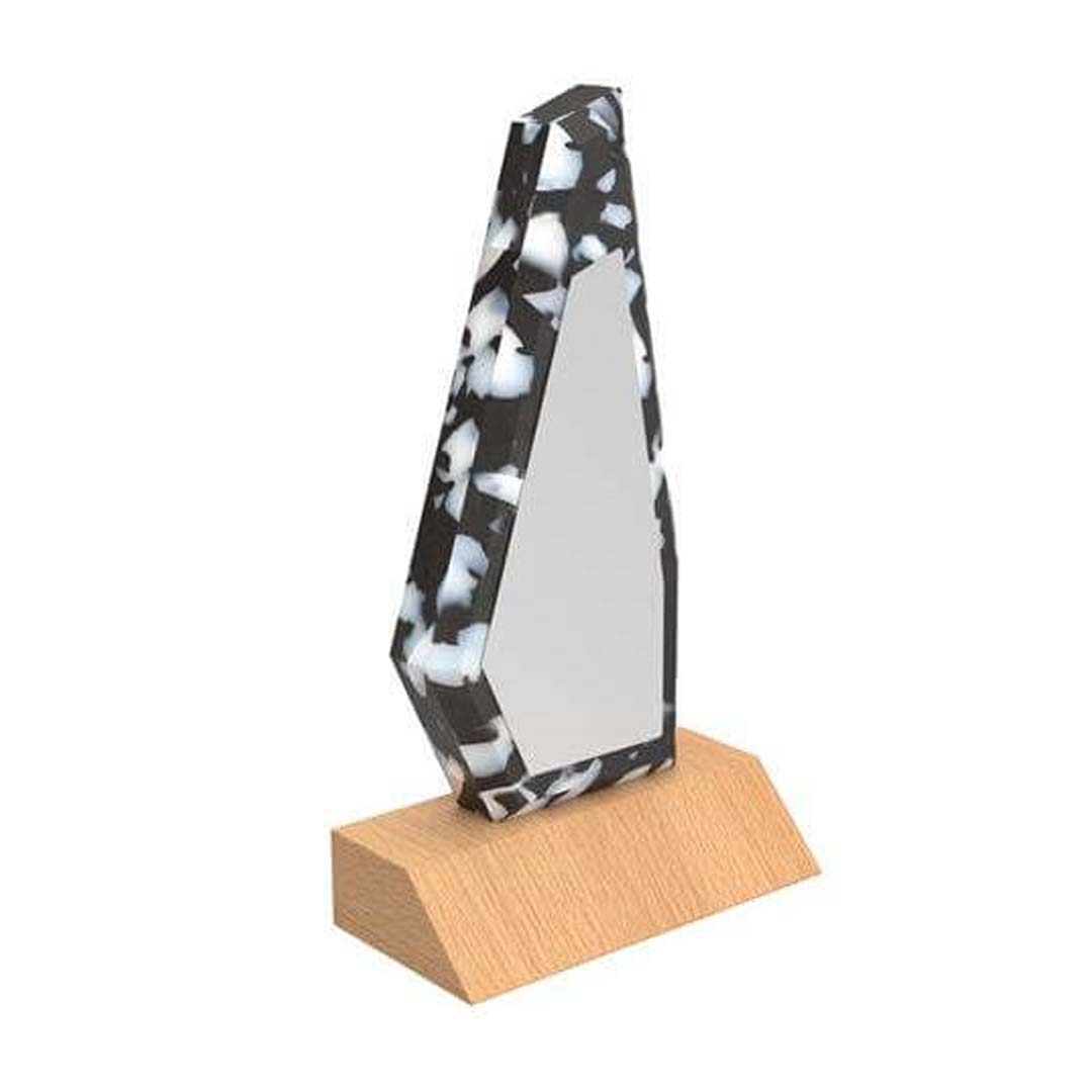 ROLLE - eco-neutral® Waste-to-Wins® FSC Beech Recycled Plastic Award - Image 6